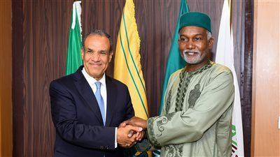 مصر ونيجيريا.. شراكة استراتيجية تتجدد في أبوجا بدبلوماسية التنمية والأمن والتكامل الإفريقي - الخليج الان