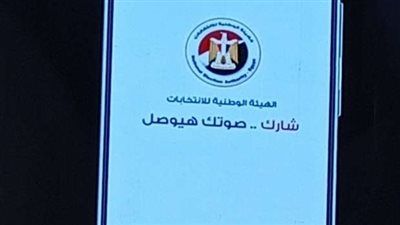 القضاء الإداري يثبت اختصاص "الوطنية للانتخابات" الكامل بإدارة الاستحقاقات الانتخابية دون تدخل - الخليج الان