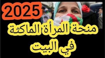 استمري واستفيدي .. رابط التسجيل في منحة المرأة الماكثة بالبيت بالجزائر والشروط 2025 تمكين اجتماعي
