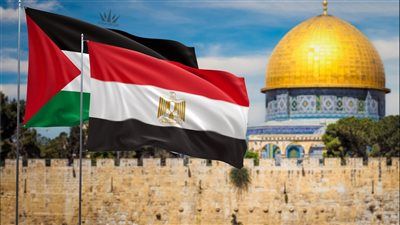 حزب الإصلاح والنهضة لـ تليجراف الخليج: دعوات التجمهر أمام سفارات مصر تشويش متعمد على الجهد الوطني في دعم فلسطين - الخليج الان