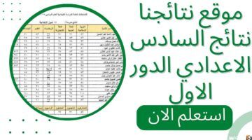 الحق شوف.. نتائج السادس الإعدادي العراق ظهرت دلوقتي فورًا ادخل اطمن على أولادك بسرعة