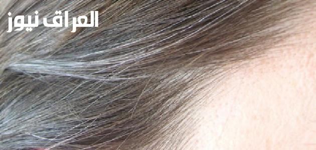 ارجعي شبابك .. طرق التخلص من الشيب المبكر بأبسط وصفة