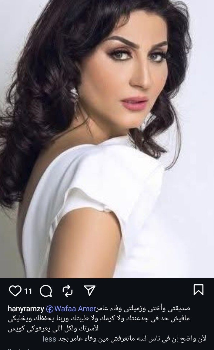 بعد اتهامها بتجارة الأعضاء.. هاني رمزي يدعم وفاء عامر: مفيش في جدعنتك ولا طيبتك - الخليج الان