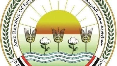 الزراعة تعلن موافقة الاتحاد الأوروبي على تيسير إجراءات تصدير البطاطس المصرية إليها - الخليج الان