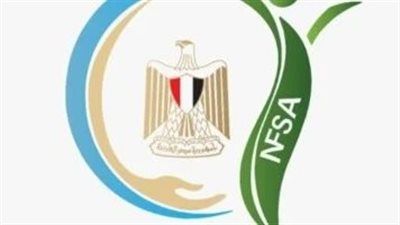 القومية لسلامة الغذاء..200 ألف طن صادرات غذائية مصرية إلى 171 دولة - الخليج الان