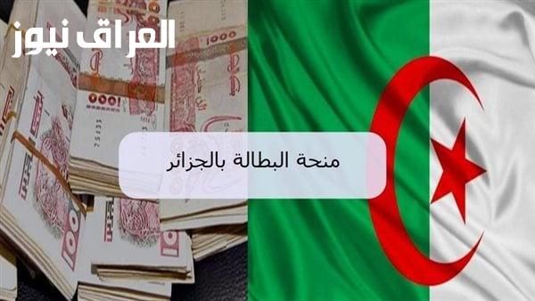 خلّي المنحة ماشية عليك.. خطوات تجديد منحة البطالة الجزائر 2025 بكل سهولة إلكترونيًا