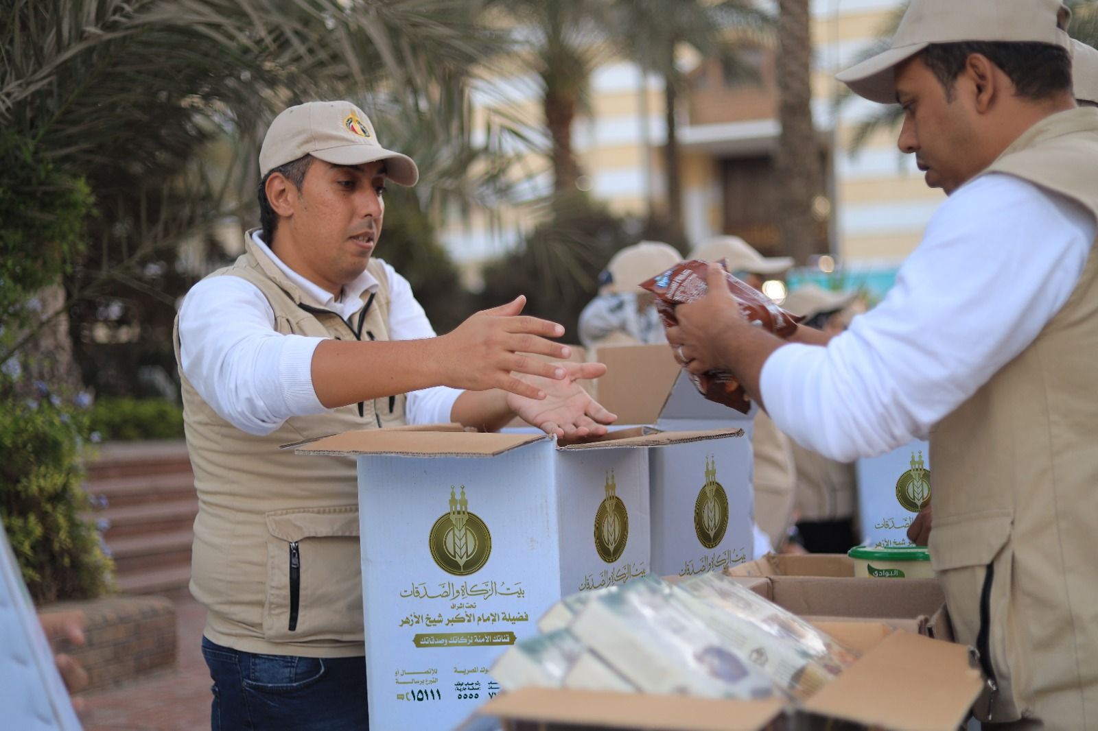 بتوجيهات شيخ الأزهر.. قافلة عاجلة من «بيت الزكاة والصدقات» محملة بآلاف الأطنان من المواد ‏الغذائية والإغاثية في طريقها إلى غزة‏ - الخليج الان