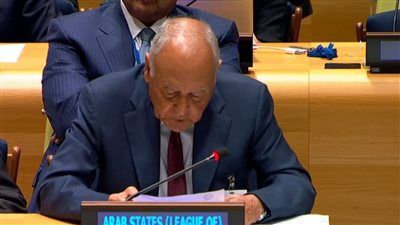 أبو الغيط: تصور إسرائيل بالحصول على التطبيع مع استمرار الاحتلال هو محض وهم - الخليج الان