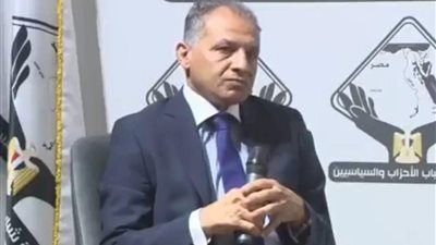 الدكتور محمد فايز فرحات: الانتخابات بين الفردي والقائمة تجسد التوافق الوطني وتنوع الأجيال.. ومجلس الشيوخ يعتمد على الخبرات والكفاءات - الخليج الان