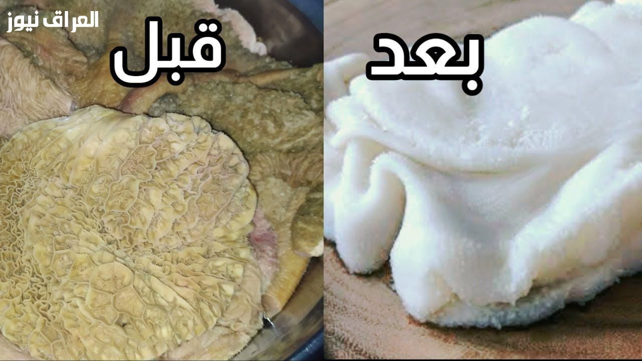 قلب نظيف.. طريقة تنظيف الكرشة بخطوات بسيطة