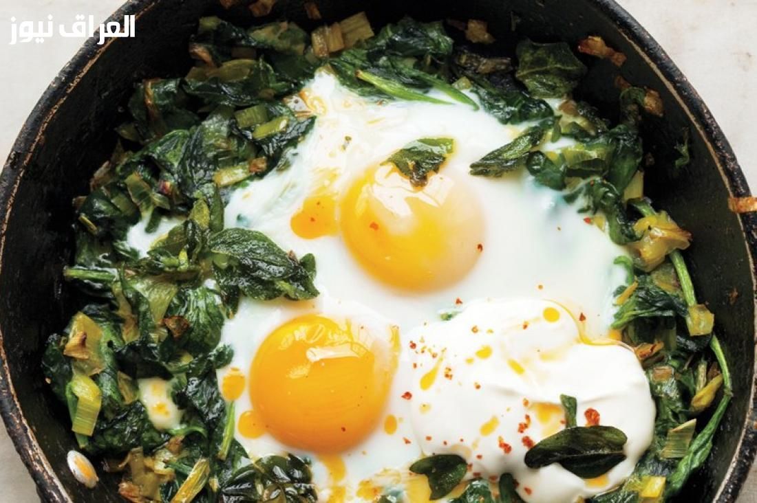 فطار صحي وسريع .. طريقة عمل البيض المخفوق بالسبانخ والجبن للدايت والطاقة
