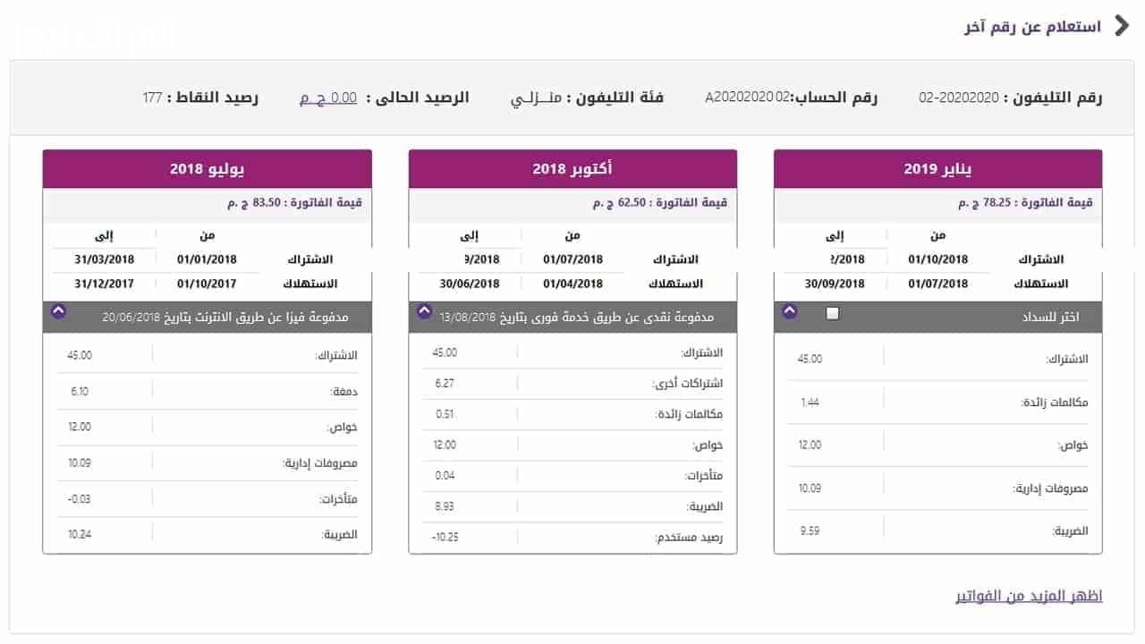 استعلم عن فاتورة التليفون الأرضي 2025 برقم الهاتف وكود المحافظة عبر الموقع الرسمي te.eg
