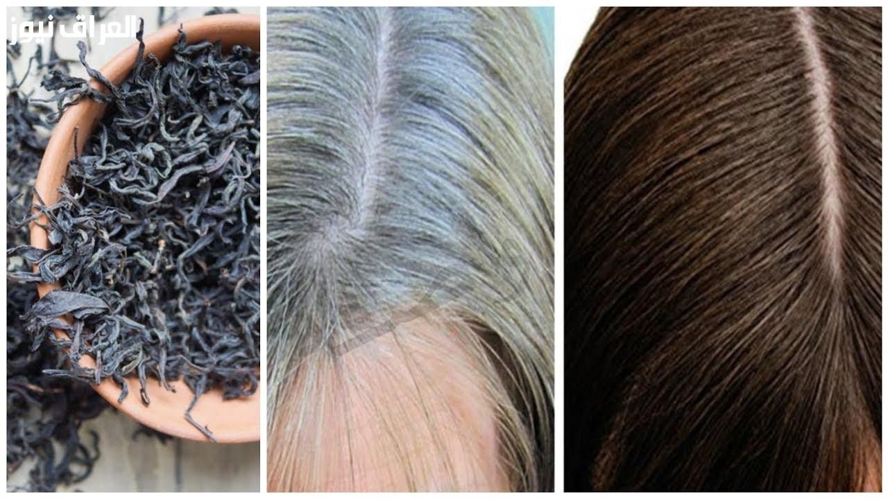 استرجعي لونك.. طرق التخلص من الشيب المبكر طبيعي 100%