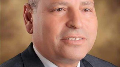 محافظ القاهرة يؤكد جاهزية كافة المقار الانتخابية بالعاصمة لاستقبال الناخبين فى انتخابات مجلس الشيوخ - الخليج الان