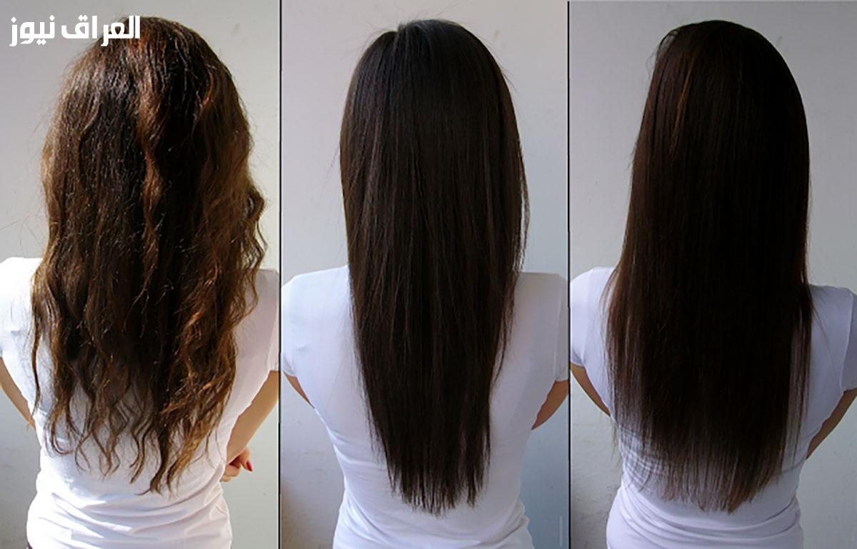 نعومة تدوم..وصفة تنعيم الشعر بلمسة أعشاب مغذية