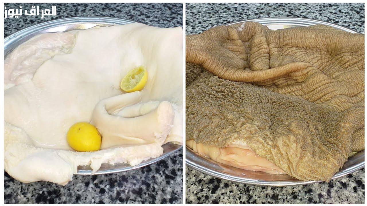 نظافة مثالية..طريقة تنظيف الكرشة والممبار دون جهد