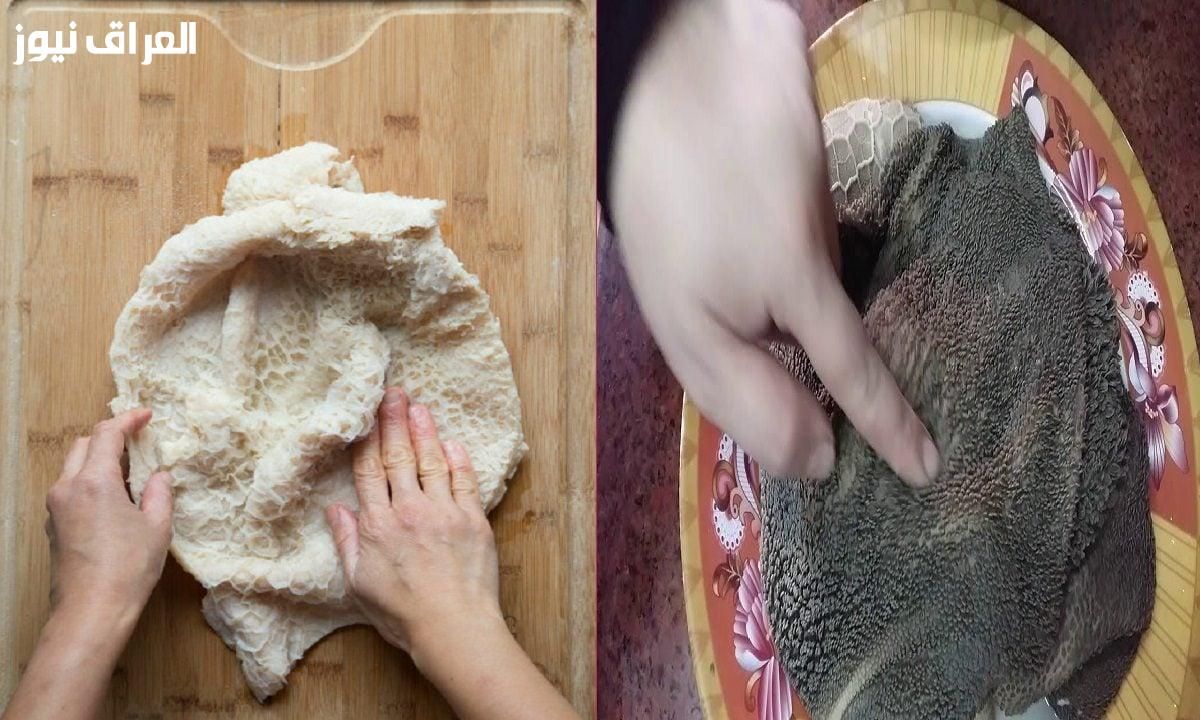 نظافة مثالية..طريقة تنظيف الكرشة والممبار للأكلات الشعبية