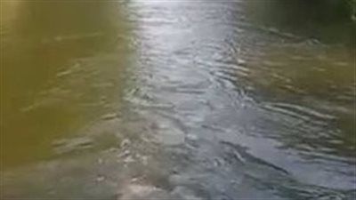 مصرع 4 وإصابة 2 أخرين إثر سقوطهم في مستنقع مائي في الفيوم - الخليج الان