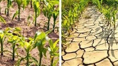 الصناعات الثقيلة في مرمى التغير المناخي التحديات تتزايد|تفاصيل - الخليج الان