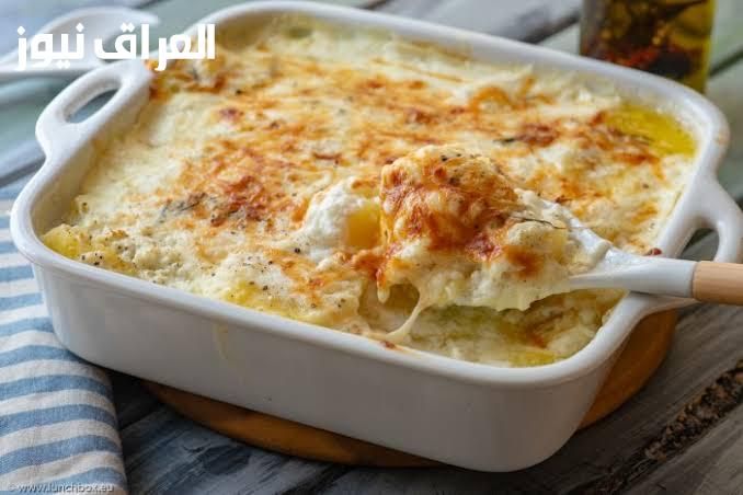 طبق فاخر..عمل صينية البشاميل بصوص بيساميل مخمّ