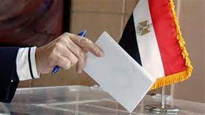 المدير التنفيذي للهيئة الوطنية للانتخابات: اليوم الأول لانتخابات الشيوخ شهد انقطاعات للكهرباء .. والحبر الفسفورى مقتصر على الاستفتاءات والانتخابات الرئاسية - الخليج الان