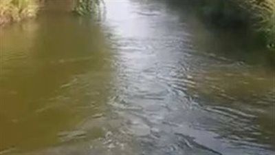 سقوط مأساوي ببحر الفيوم.. وفاة طفلة وإصابة أخرى أثناء غسل الأواني - الخليج الان