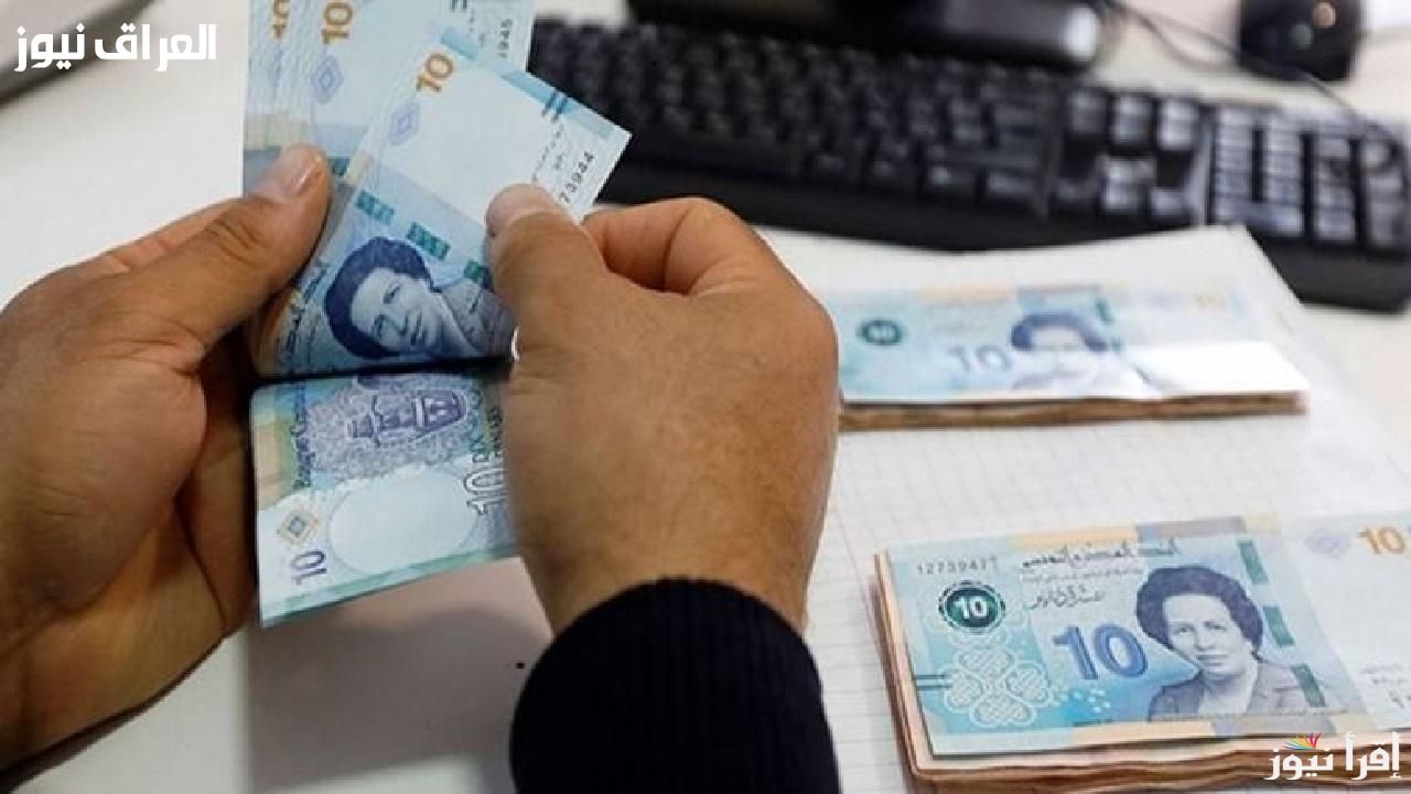 منحتك جامعية مضمونة..منحة تونس 2025 وكيفية التقديم أونلاين بالكامل