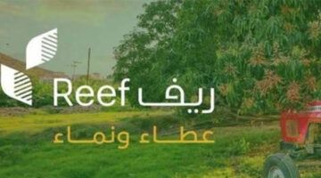 مبروك مقدّمًا.. إعلان أسماء المستفيدين من منحة ريف السعودية الجديدة