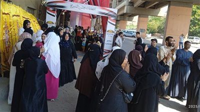 رئيس الهيئة الوطنية للانتخابات: العملية الانتخابية لمجلس الشيوخ مرت بسلام... وشكاوى محدودة لم تؤثر على التصويت - الخليج الان