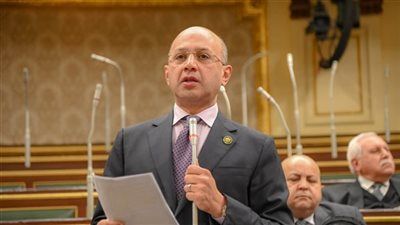 برلماني: انتخابات مجلس الشيوخ استحقاق دستوري مهم ومسؤولية وطنية لا تحتمل التراخي - الخليج الان