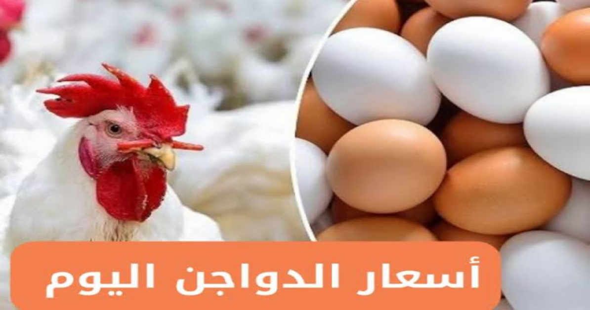 «الحقي خزني يا ست الكل ».. أسعار الفراخ البلدي اليوم الخميس في بورصة الدواجن الجديدة نزلت الربع