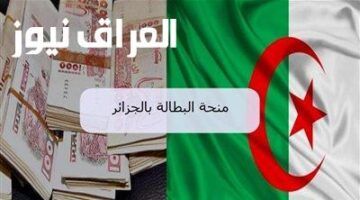 خطوة بخطوة..خطوات وشروط تجديد منحة البطالة 2025 في الجزائر ودليل الإجراءات