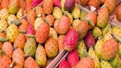 فاكهة الفقراء.. رحلة التين الشوكي من شوارع القاهرة إلى مختبرات العالم - الخليج الان