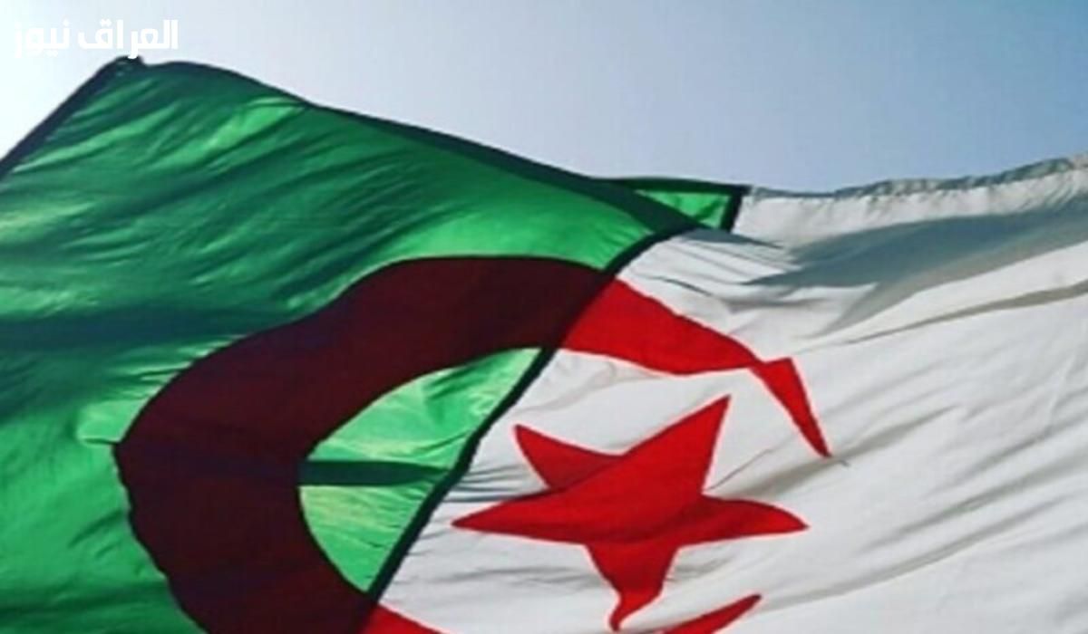 إعانة بطالة متجددة.. خطوات تجديد منحة البطالة الجزائر 2025 دعم شهري مستمر