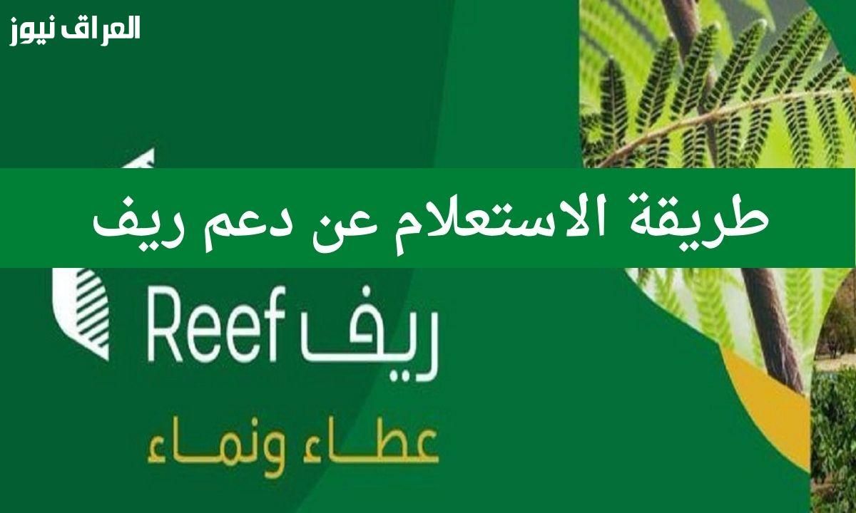 ريّح بالك.. تحديث بيانات دعم ريف السعودية إلكترونيًا شغّال دلوقتي