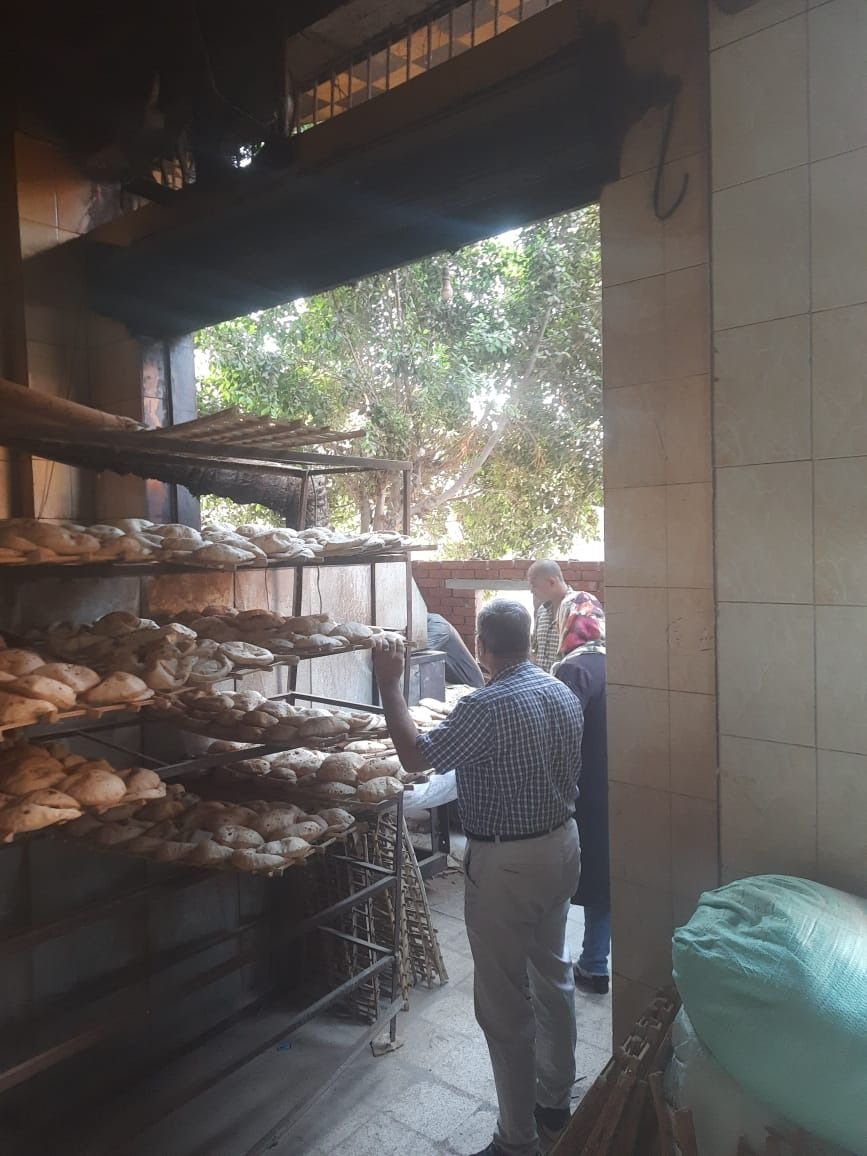 تحرير 740 محضر مخالفات مخابز وأسواق وضبط 20 طن أرز ونخالة خشنة مجهولة المصدر بالمنوفية - الخليج الان