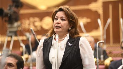 خارجية الشيوخ: زيارة وزير خارجية تركيا لمصر تمثل تحولًا استراتيجيًا في مسار العلاقات - الخليج الان