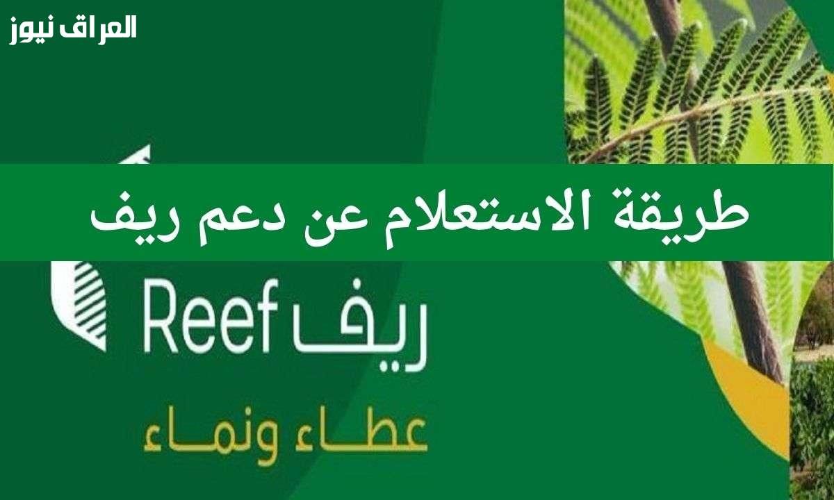 الخير جاي.. موعد صرف دعم ريف السعودي 2025 للمزارعين وأهل الريف