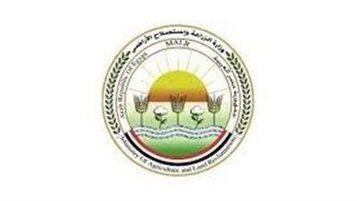 وزارة الزراعة تكشف الأسباب العلمية وراء نفوق الأسماك في مزارع بحيرة المنزلة|تفاصيل - الخليج الان