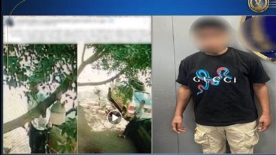 الأمن يكشف حقيقة فيديو إتلاف مرايات سيارات بالبساتين - الخليج الان