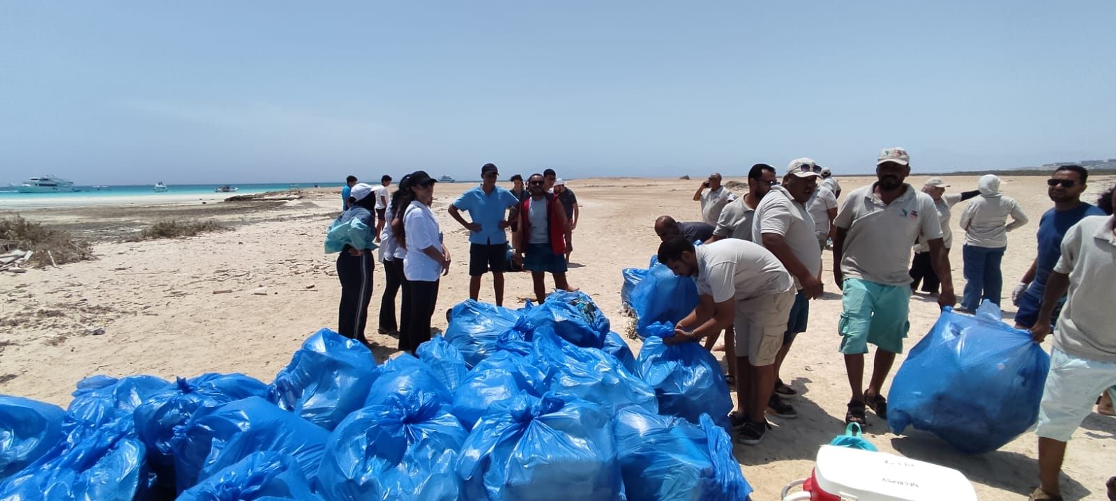 وزارة البيئة تنظم حملة نظافة موسعة بشواطئ جزيرة أبو منقار بالتعاون مع جميعة هيبكا|تفاصيل - الخليج الان