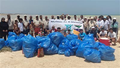 وزارة البيئة تنظم حملة نظافة موسعة بشواطئ جزيرة أبو منقار بالتعاون مع جميعة هيبكا|تفاصيل - الخليج الان