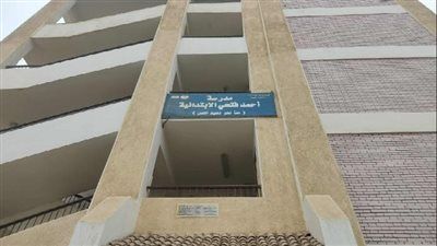 "ألوان المساواة".. مدرسة ابتدائية  بالفيوم تطلق الزي الموحد لأول مرة والسعر أقل من المريلة - الخليج الان