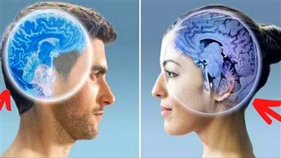 اختلافات دماغ الرجل والمرأة.. أسرار علمية تغيّر النظرة التقليدية - الخليج الان