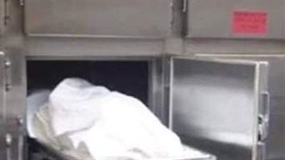 خلافات زوجية تنتهي بجريمة قتل مروعة في فايد.. زوجة تُنهي حياة زوجها بطفاية - الخليج الان