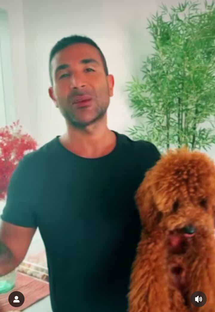 أحمد سعد ورامي صبري الأبرز.. لجنة تحكيم the voice و the voice kids - الخليج الان