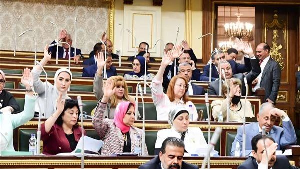 7 تشريعات هامة.. ماذا قدم البرلمان للمرأة خلال 5 الأعوام الماضية؟ - الخليج الان