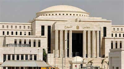 أمينة المرأة بـ “المصري الديمقراطي” لـ “تليجراف الخليج”: غياب المرأة داخل المقاعد الفردية بالشيوخ يفسر محدودية الدعم الإعلامي والمجتمعي لها - الخليج الان