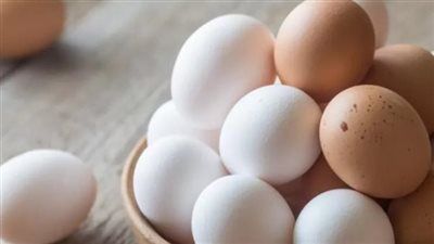 أسعار البيض والدواجن في الأسواق المصرية اليوم السبت 16 أغسطس2025 - الخليج الان