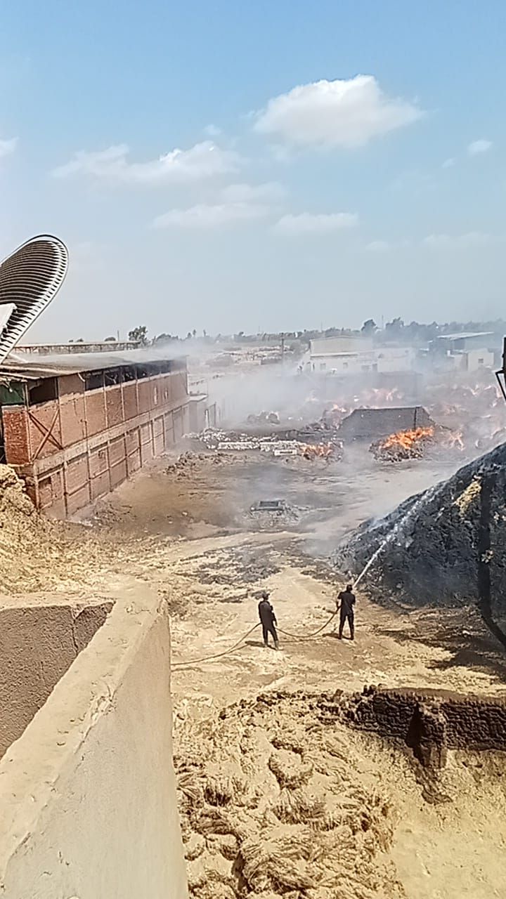 النار وصلت السماء.. حريق هائل في 400 فدن كتان بشبراملس الغربية.. صور - الخليج الان